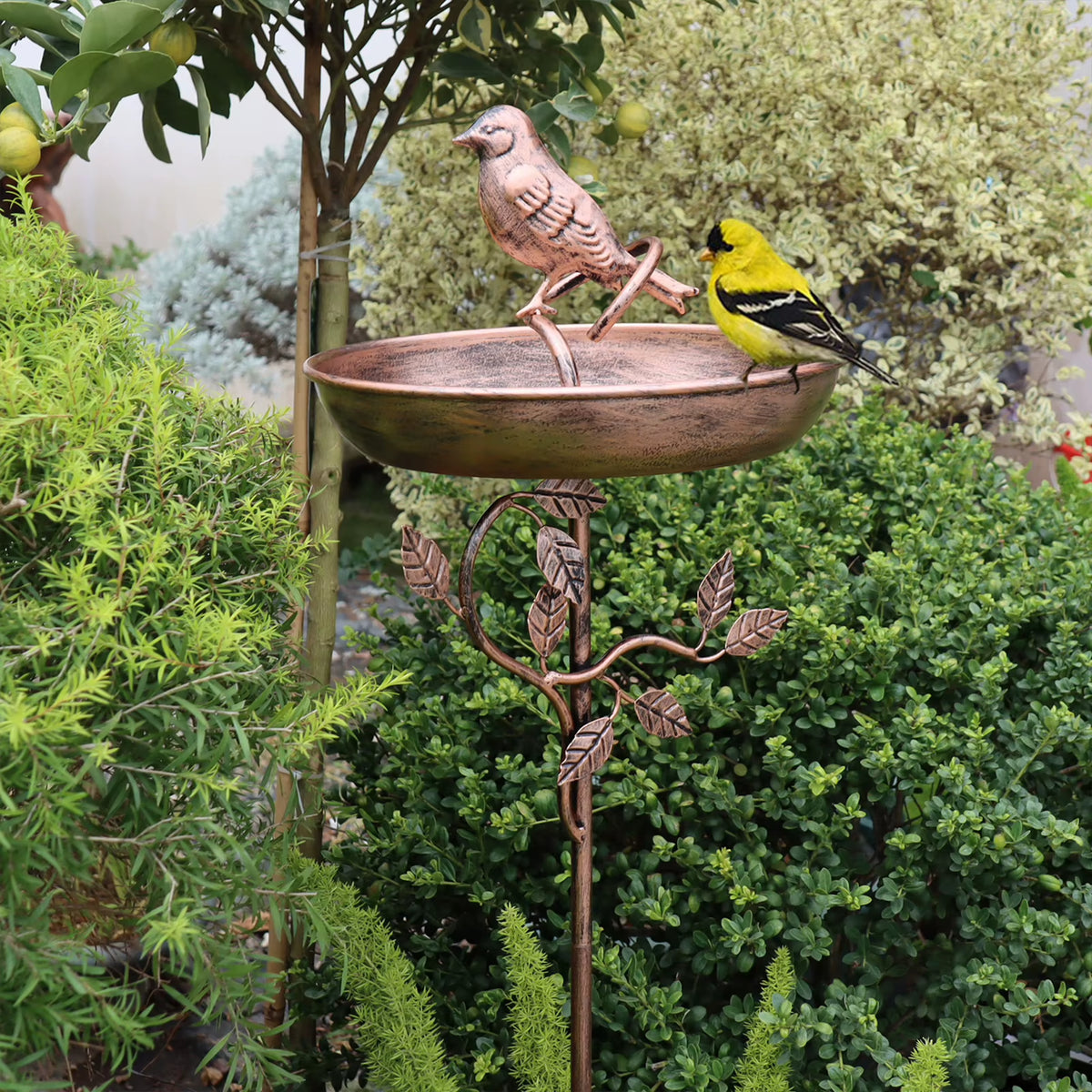 Vogeltränke Garten aus Eisen, freistehend, Vintage-Design